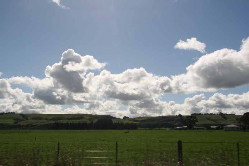 Nieuw-Zeeland 2011 - 1744